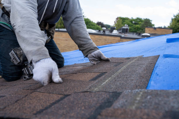 Roof Repair Estimates in Elizabeth, PA